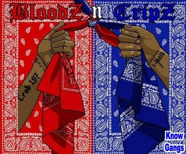 Bloods And Crips Gang